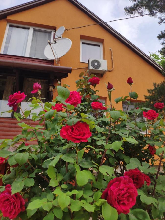 Karolina Apartment بيكيسكسابا المظهر الخارجي الصورة