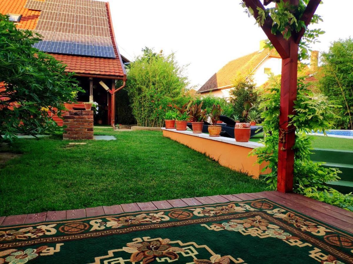Karolina Apartment بيكيسكسابا المظهر الخارجي الصورة