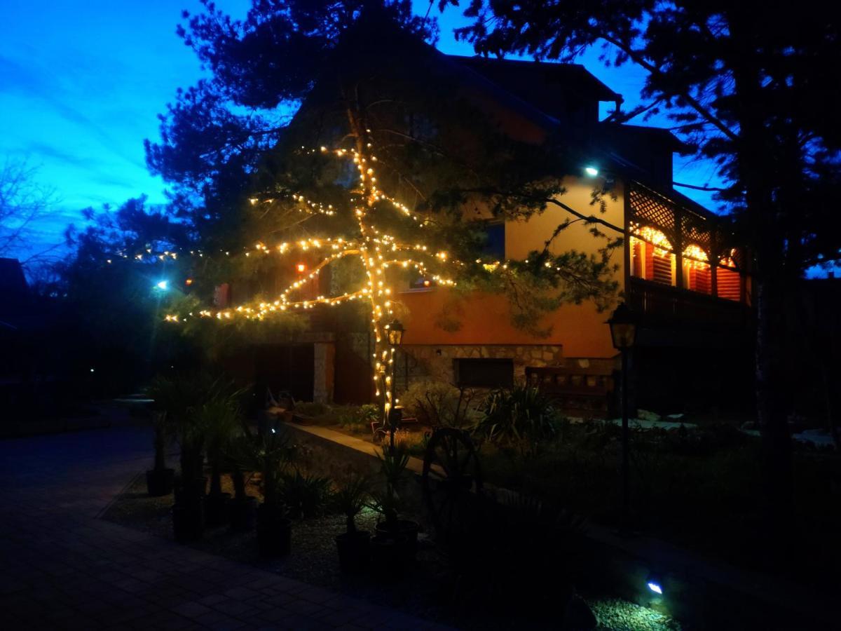 Karolina Apartment بيكيسكسابا المظهر الخارجي الصورة